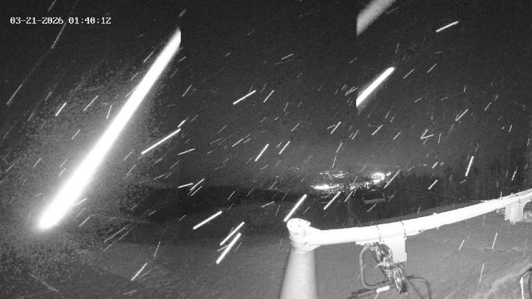 Webcam Revelstoke Mountain: Top Stellar Chair