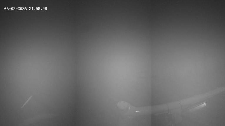 Webcam Revelstoke Mountain: Top Stellar Chair