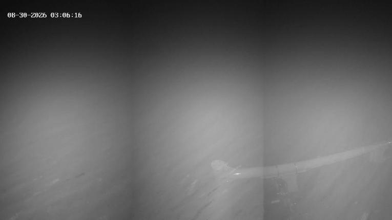 Webcam Revelstoke Mountain: Top Stellar Chair
