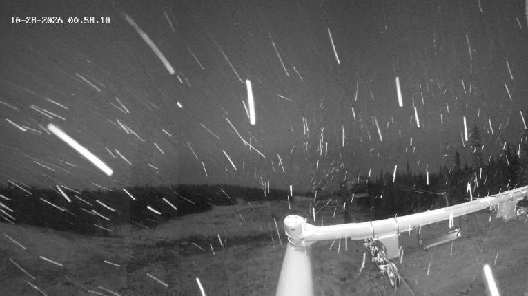 Webcam Revelstoke Mountain: Top Stellar Chair