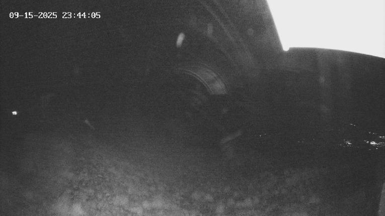 Webcam Revelstoke Mountain: Top Stoke Chair
