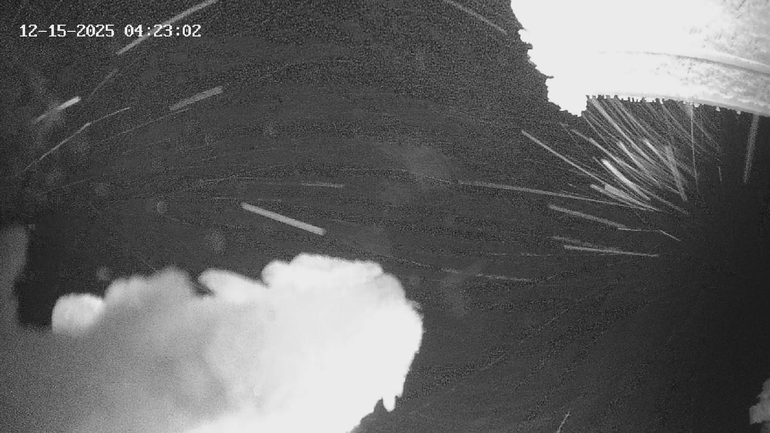 Webcam Revelstoke Mountain: Top Stoke Chair