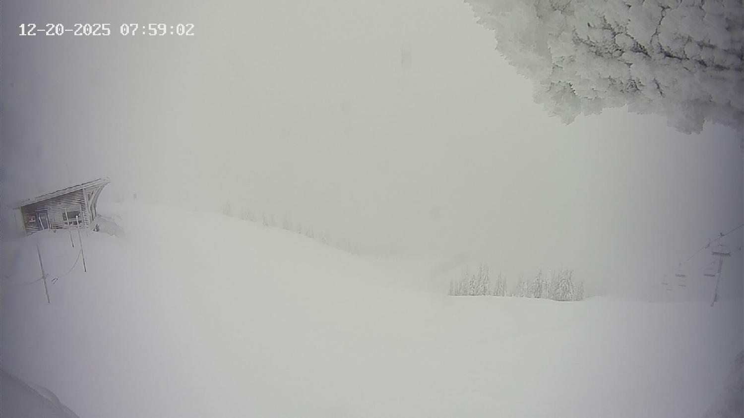 Webcam Revelstoke Mountain: Top Stoke Chair