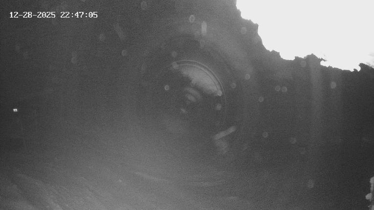 Webcam Revelstoke Mountain: Top Stoke Chair