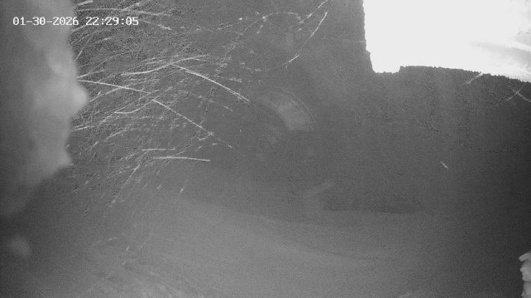 Webcam Revelstoke Mountain: Top Stoke Chair