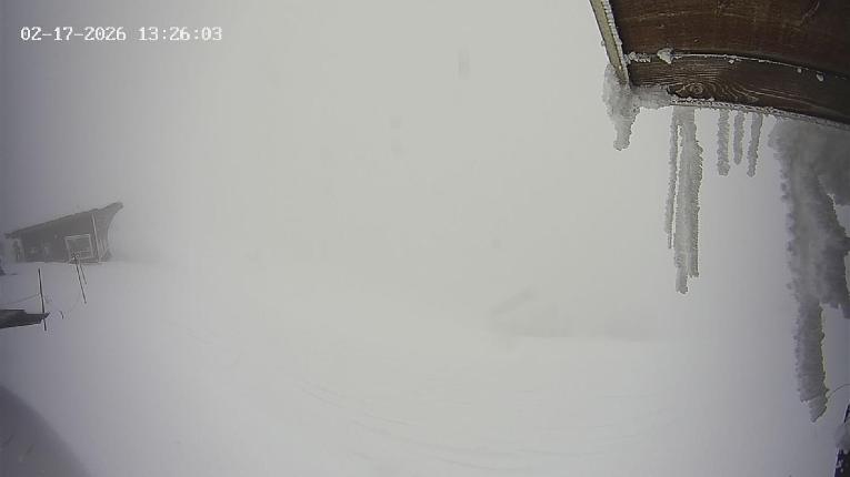 Webcam Revelstoke Mountain: Top Stoke Chair