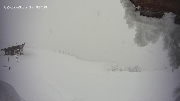 Webcam Revelstoke Mountain: Top Stoke Chair