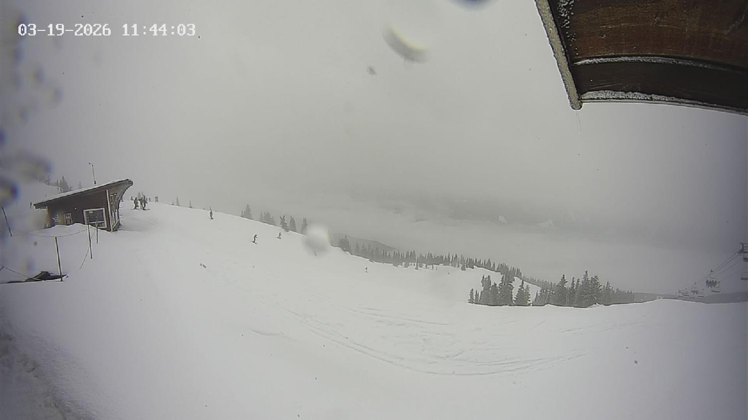 Webcam Revelstoke Mountain: Top Stoke Chair
