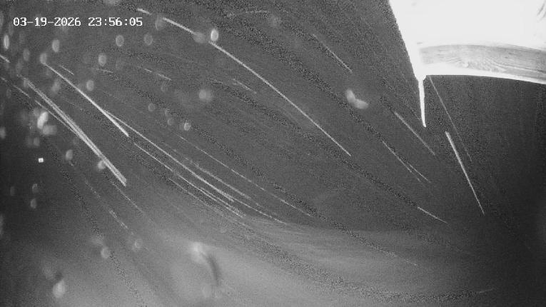 Webcam Revelstoke Mountain: Top Stoke Chair