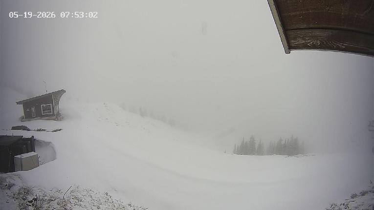 Webcam Revelstoke Mountain: Top Stoke Chair