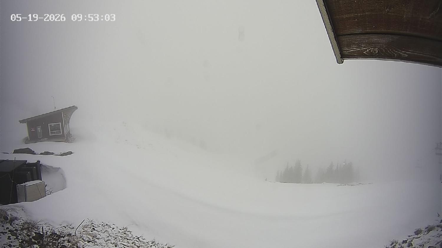 Webcam Revelstoke Mountain: Top Stoke Chair