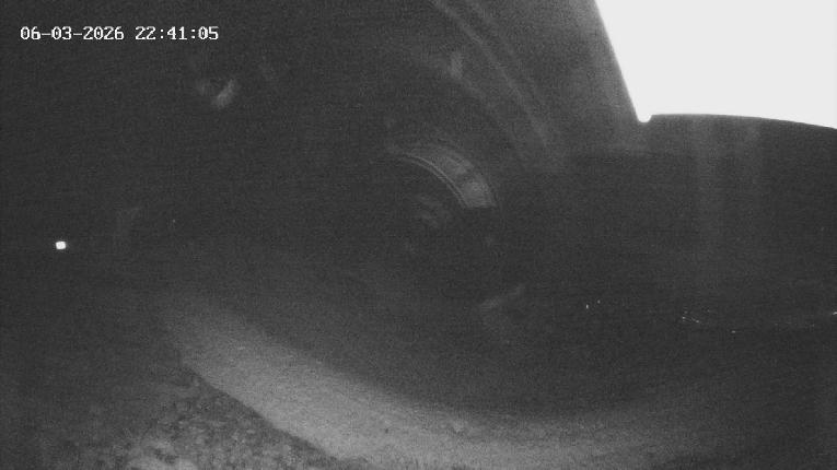 Webcam Revelstoke Mountain: Top Stoke Chair