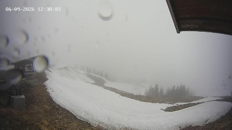 Webcam Revelstoke Mountain: Top Stoke Chair