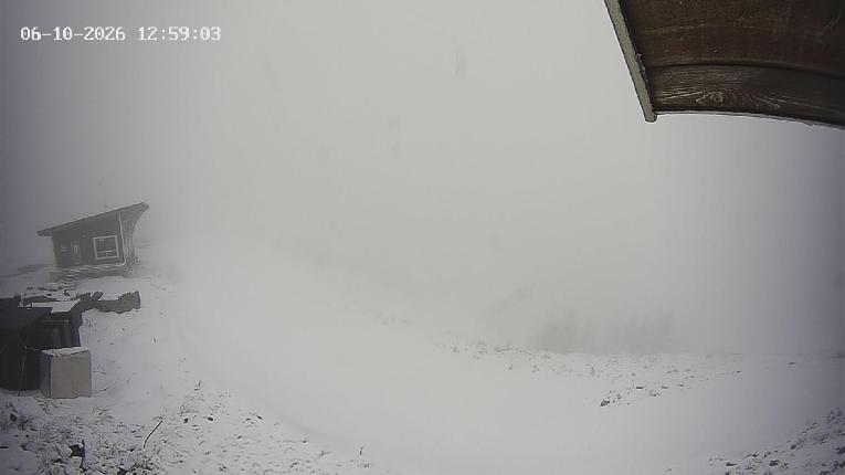 Webcam Revelstoke Mountain: Top Stoke Chair