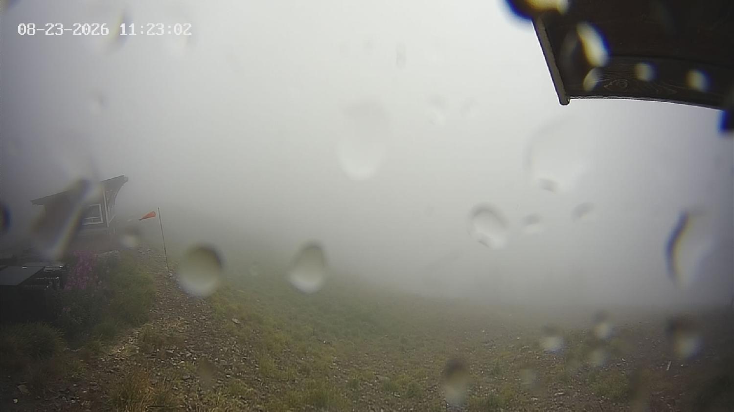 Webcam Revelstoke Mountain: Top Stoke Chair