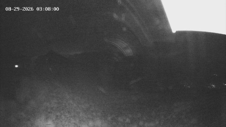 Webcam Revelstoke Mountain: Top Stoke Chair