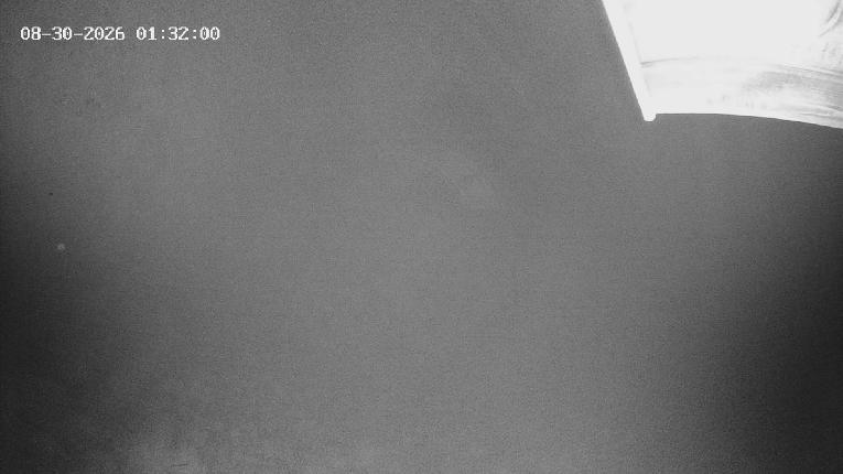 Webcam Revelstoke Mountain: Top Stoke Chair