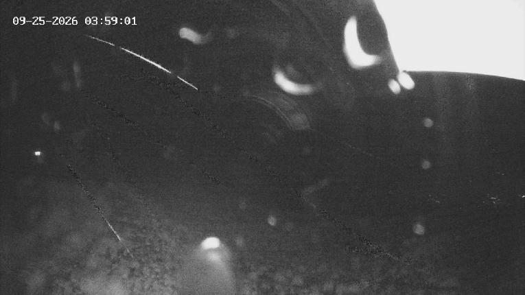 Webcam Revelstoke Mountain: Top Stoke Chair