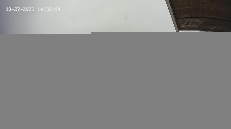 Webcam Revelstoke Mountain: Top Stoke Chair