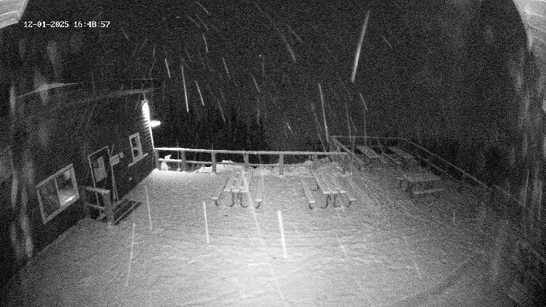 Webcam Revelstoke Mountain: Top Upper Gondola