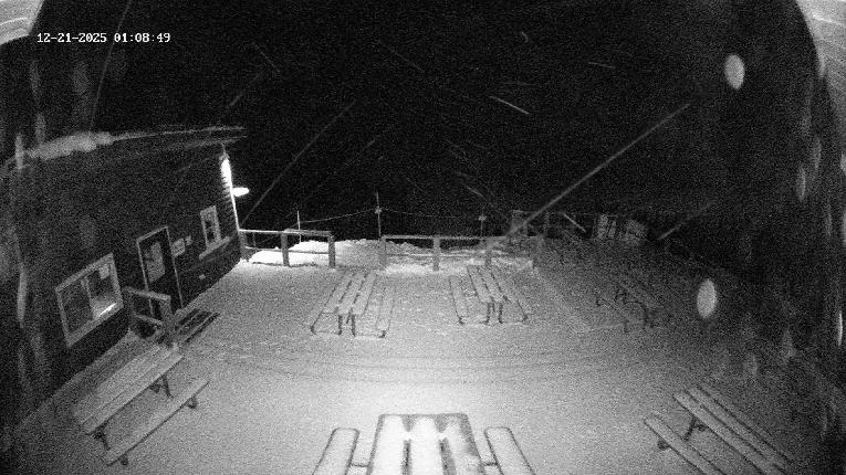 Webcam Revelstoke Mountain: Top Upper Gondola