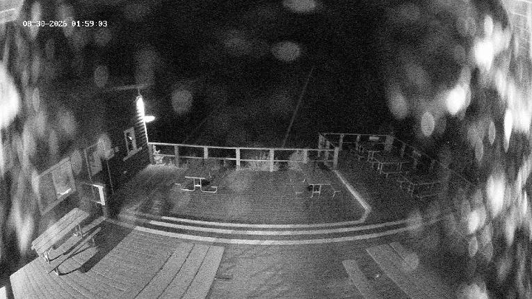 Webcam Revelstoke Mountain: Top Upper Gondola
