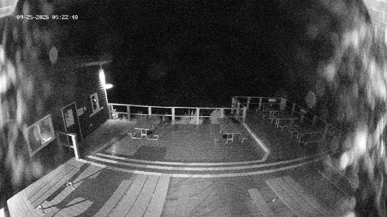 Webcam Revelstoke Mountain: Top Upper Gondola