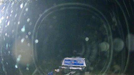 San Isidro: Cebolledo 1 (nieveleonsanisidro.com)