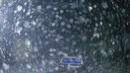 San Isidro: Cebolledo 1 (nieveleonsanisidro.com)