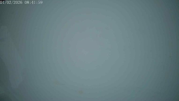 Webcam San Isidro: Cebolledo 2000m