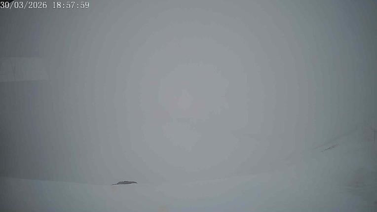 Webcam San Isidro: Cebolledo 2000m