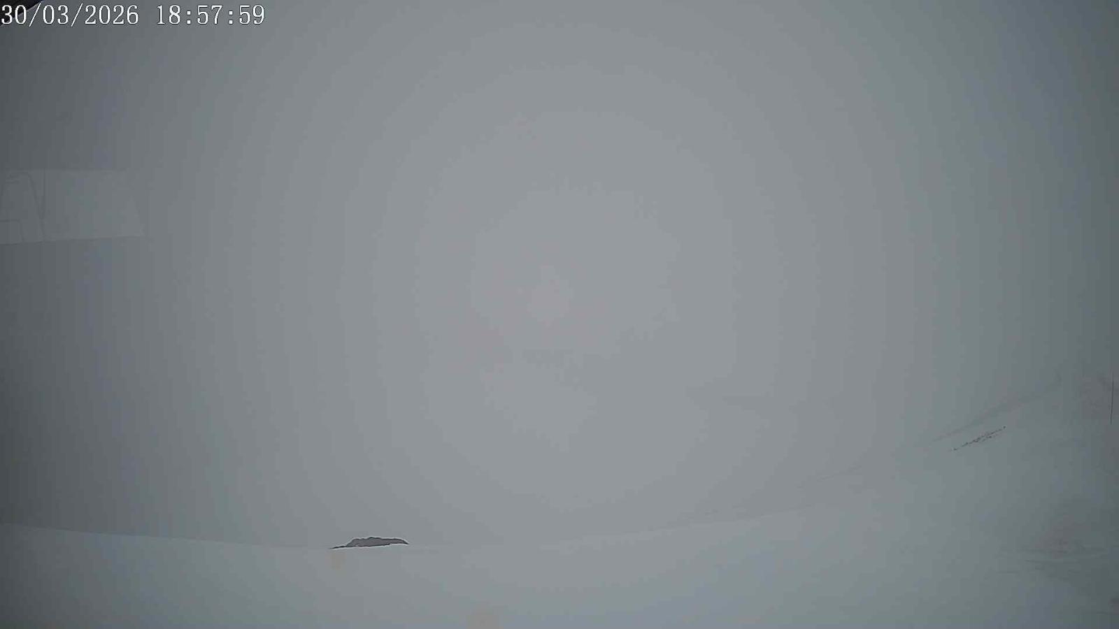 Webcam San Isidro: Cebolledo 2000m