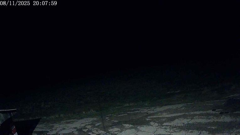 Webcam San Isidro: Salencias