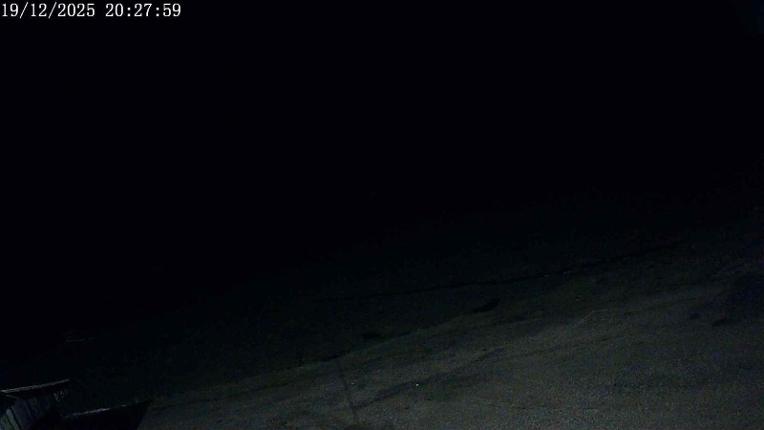 Webcam San Isidro: Salencias