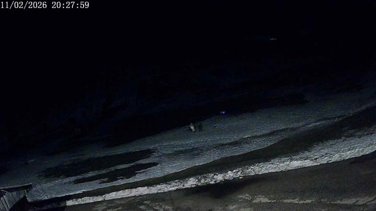 Webcam San Isidro: Salencias