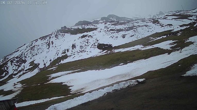 Webcam San Isidro: Salencias