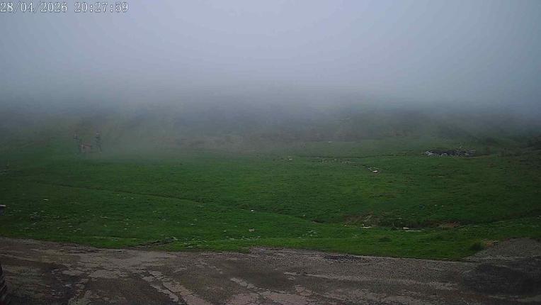 Webcam San Isidro: Salencias