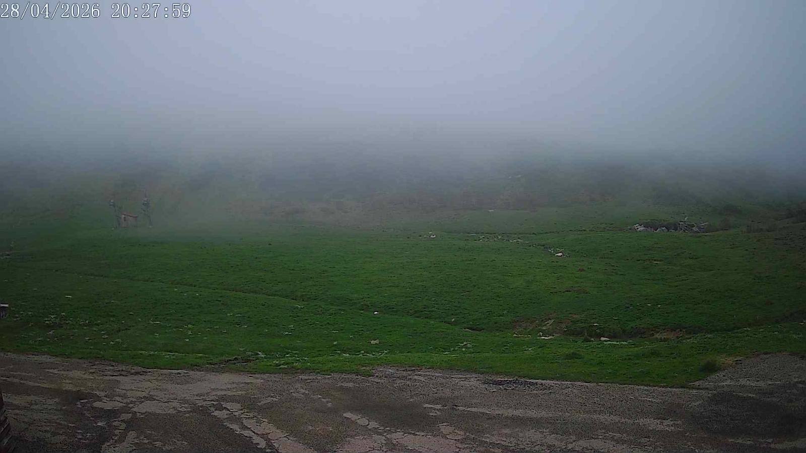 Webcam San Isidro: Salencias