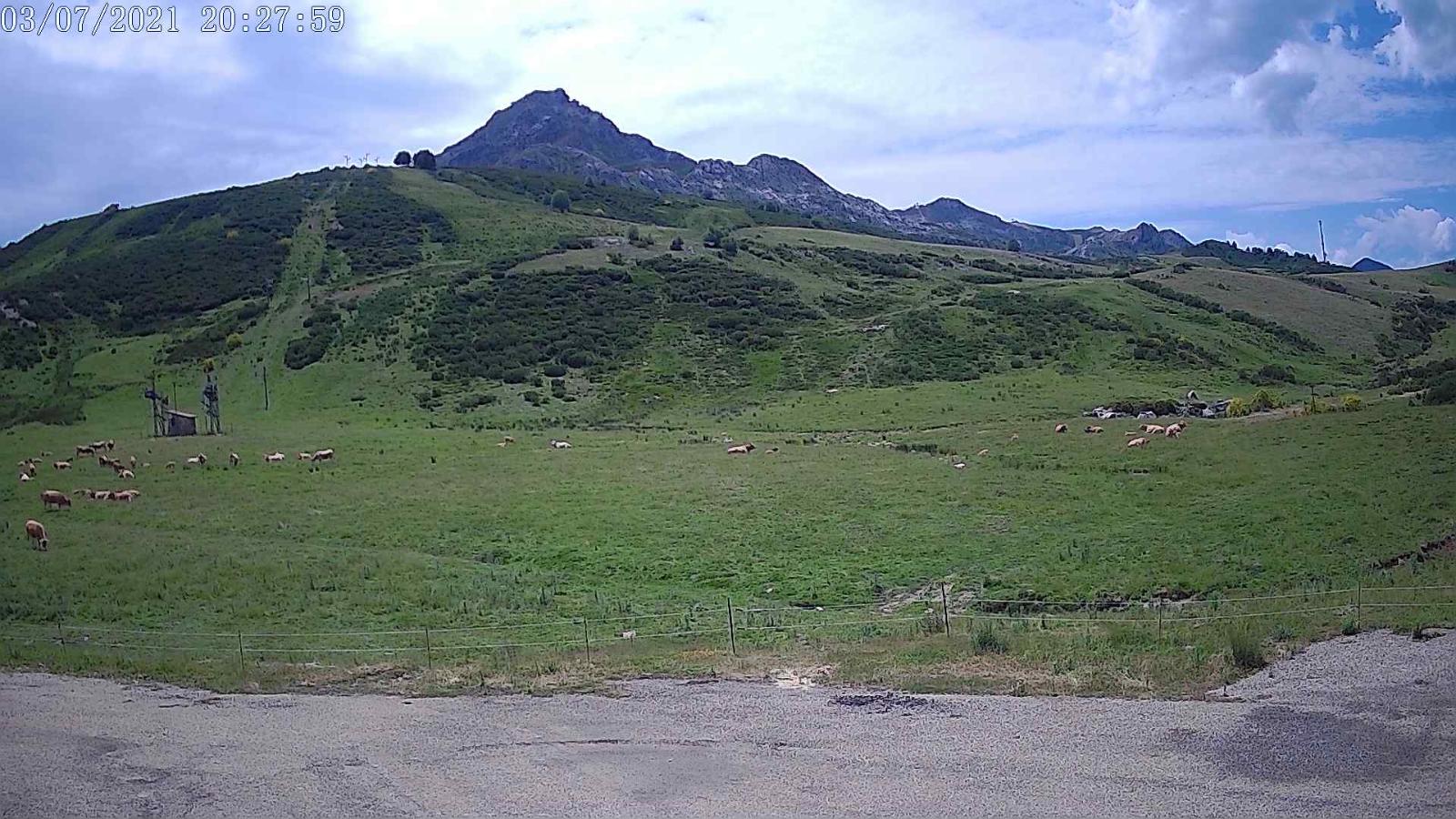 Webcam San Isidro: Salencias