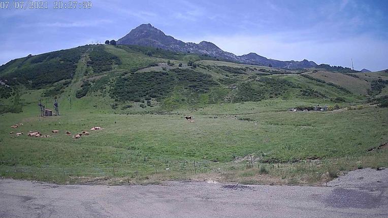 Webcam San Isidro: Salencias