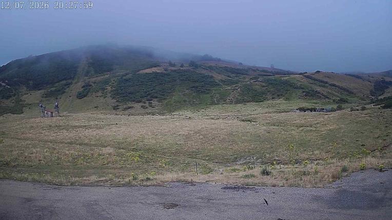 Webcam San Isidro: Salencias
