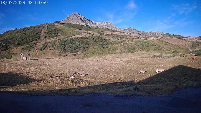 Webcam San Isidro: Salencias