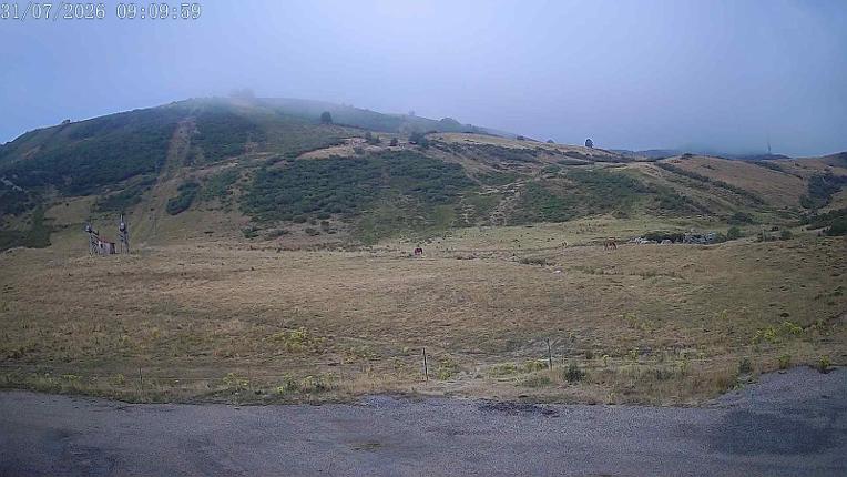 Webcam San Isidro: Salencias