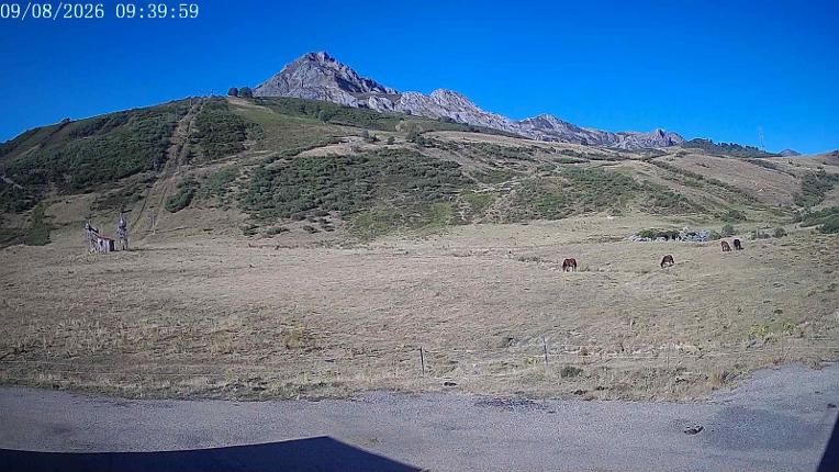 Webcam San Isidro: Salencias