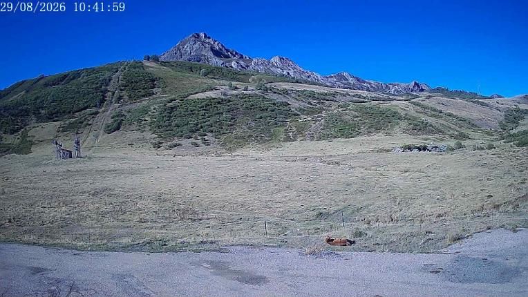 Webcam San Isidro: Salencias