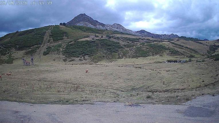 Webcam San Isidro: Salencias