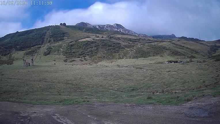 Webcam San Isidro: Salencias