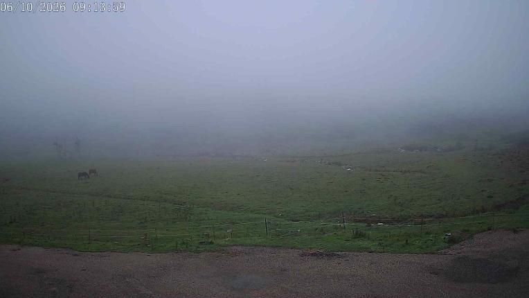 Webcam San Isidro: Salencias