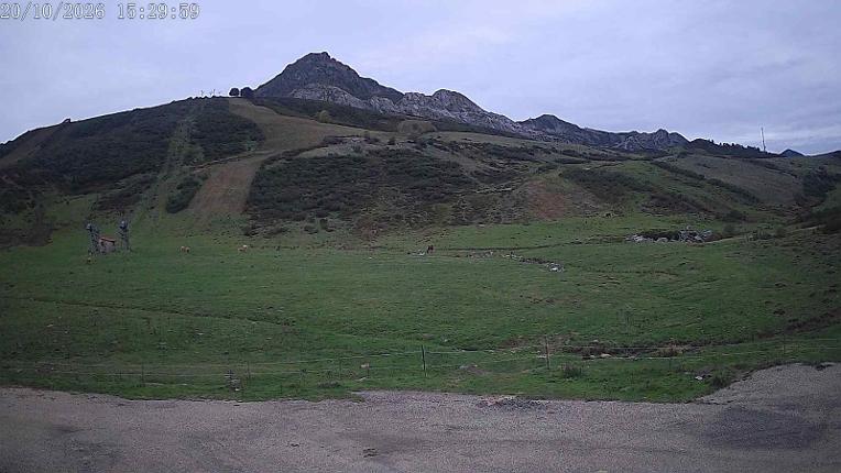 Webcam San Isidro: Salencias