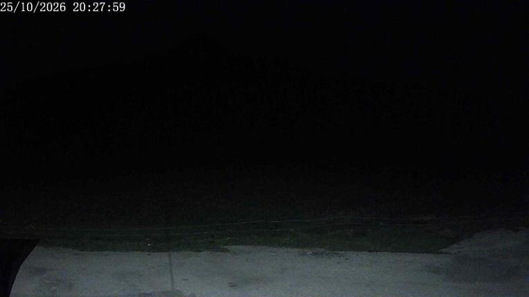 Webcam San Isidro: Salencias